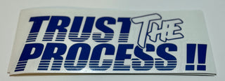 Trust The Process Sticker